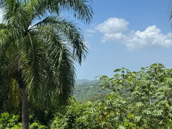 Carr. 361, Km. 3.9 BO. CAÍN BAJO, San German, PR 00683