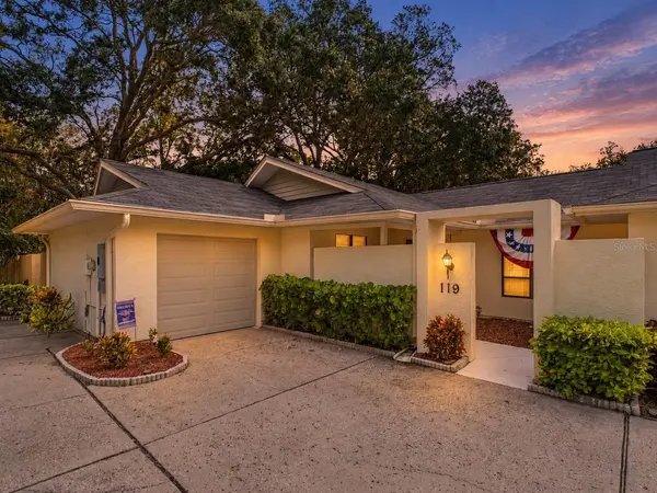 119 PARKSIDE COLONY DR, Tarpon Springs, FL 34689