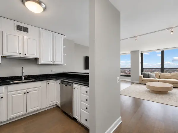 1030 N State ST #46A, Chicago, IL 60610