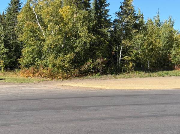 TBD State Highway 11, Warroad, MN 56763