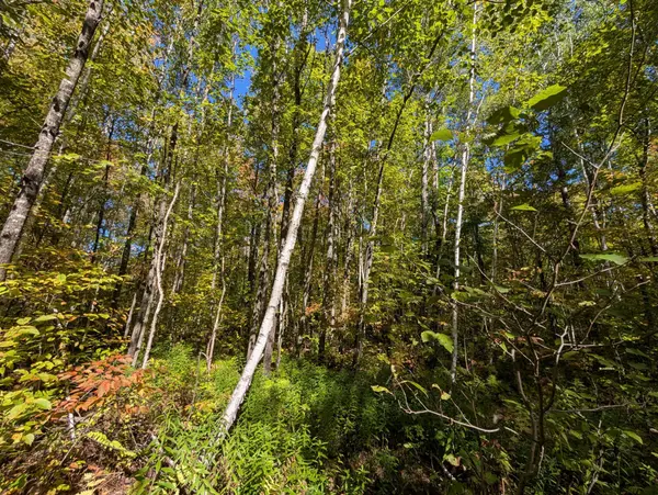 TBD Hwy B, Hunter Twp, WI 54843