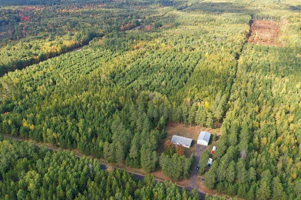 8924 Black Brook RD, Webster, WI 54893