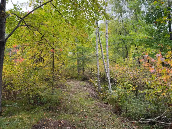 51181 Sand Creek Rd, Bruno, MN 55712