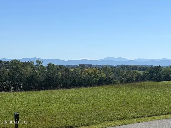80 Polly Anna Drive, Mosheim, TN 37818