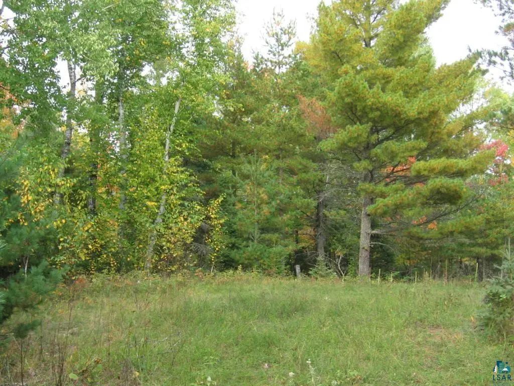 1687 Golden Ridge Tr, Ely, MN 55731