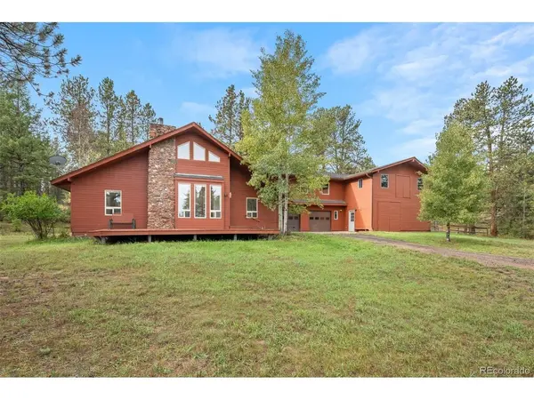 20202 Spring Creek, Pine, CO 80470