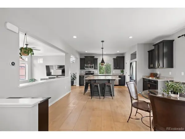 4429 Vindaloo, Castle Rock, CO 80109
