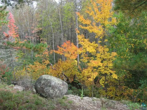 1687 Golden Ridge Tr, Ely, MN 55731