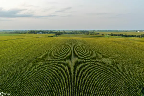 Highway 1, Washington, IA 52353