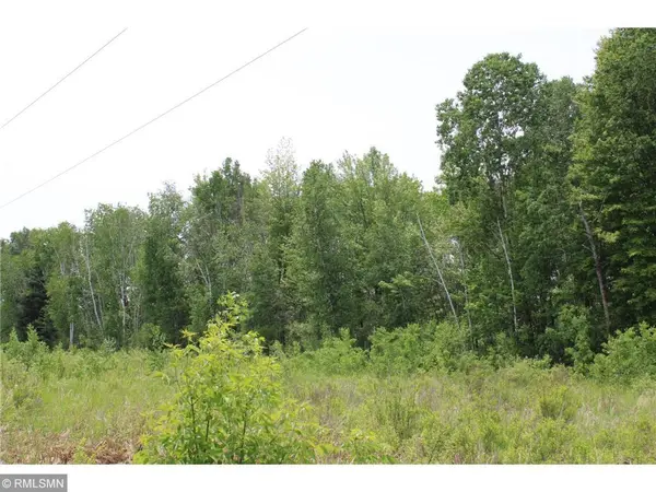 xxxxx Sandhill Crane Ln, Pine City, MN 55063