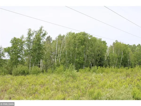 xxxxx Sandhill Crane Ln, Pine City, MN 55063