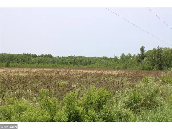 xxxxx Sandhill Crane Ln, Pine City, MN 55063