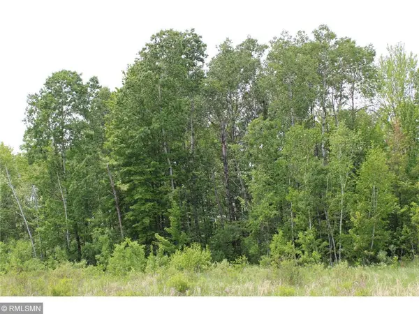 xxxxx Sandhill Crane Ln, Pine City, MN 55063