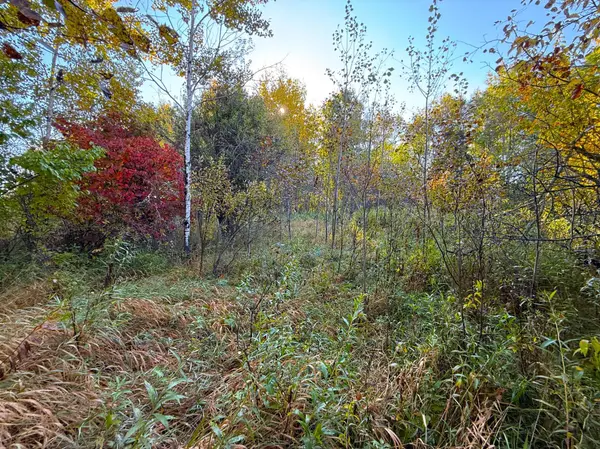XXX 540th LN, Palisade, MN 56469