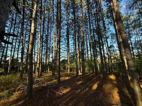 XXX 540th LN, Palisade, MN 56469