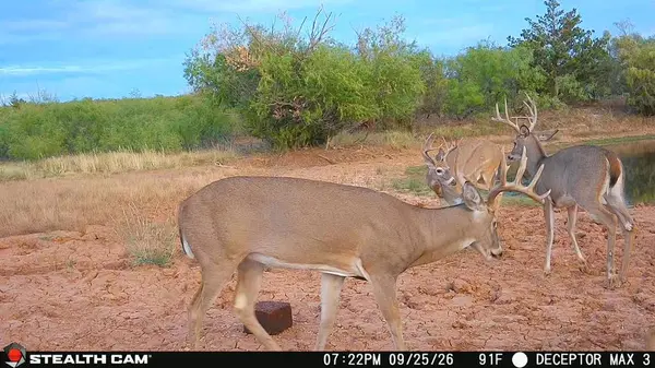 30389 E County Road 1360 RD, Willow, OK 73673