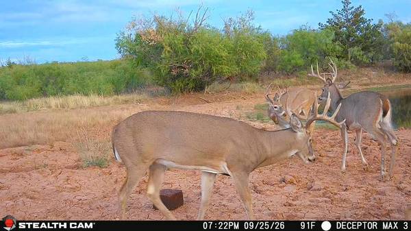 30389 E County Road 1360 RD, Willow, OK 73673