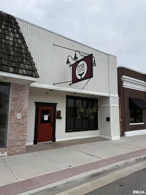 248 E SIMMONS ST, Galesburg, IL 61401