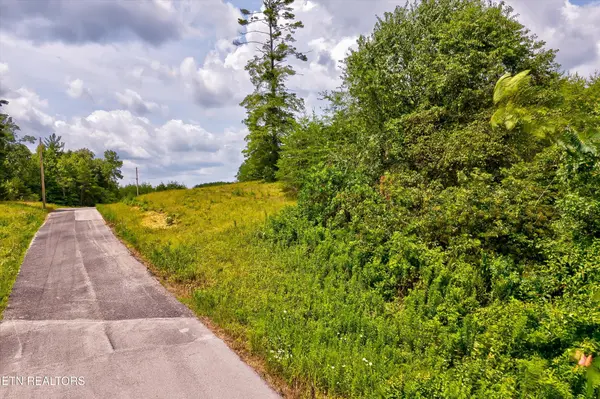 0 Highway 62, Deer Lodge, TN 37726