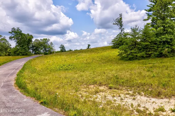 0 Highway 62, Deer Lodge, TN 37726