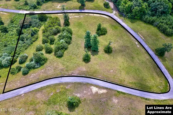 0 Highway 62,  Deer Lodge,  TN 37726