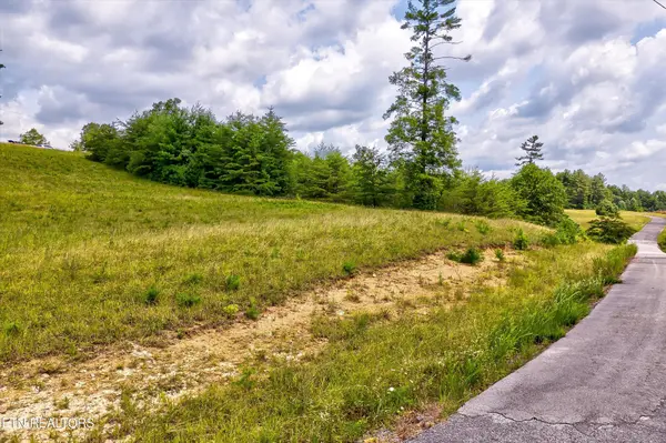 0 Highway 62, Deer Lodge, TN 37726