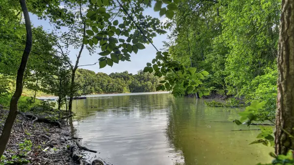 1906 Santa Fe Trl, Dandridge, TN 37725