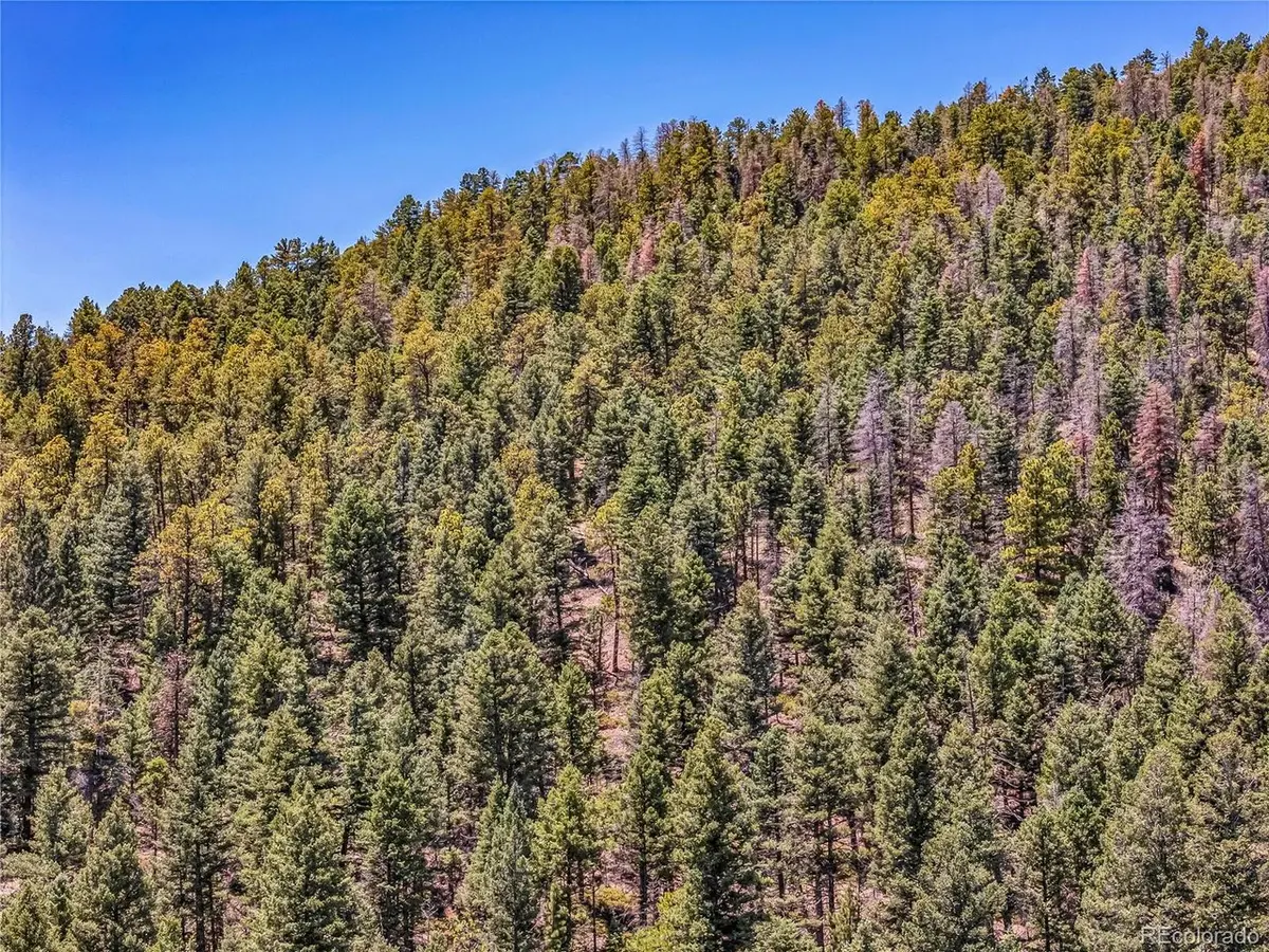 Tallahassee, Canon City, CO 81212