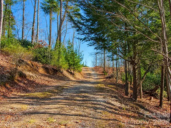 43 Deer Crossing LN #43, Ferguson, NC 28624