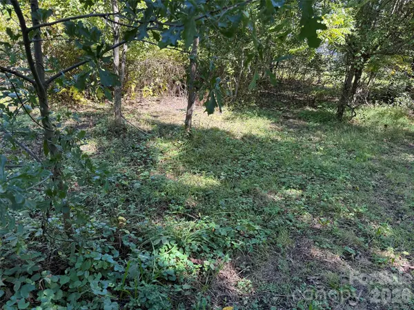 Lot 4 Bronco PASS, East Flat Rock, NC 28731