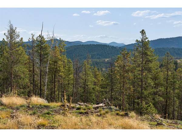 8570 S Warhawk, Conifer, CO 80433