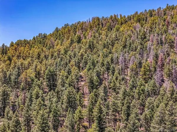Tallahassee, Canon City, CO 81212