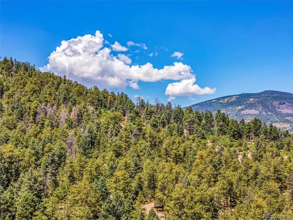 Tallahassee, Canon City, CO 81212