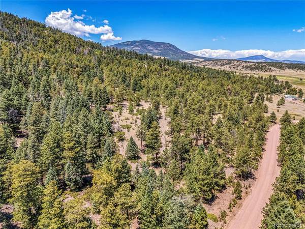 Tallahassee, Canon City, CO 81212