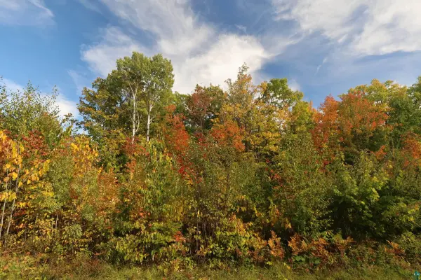 91XXX-A W Old County Hwy K, Bayfield, WI 54814