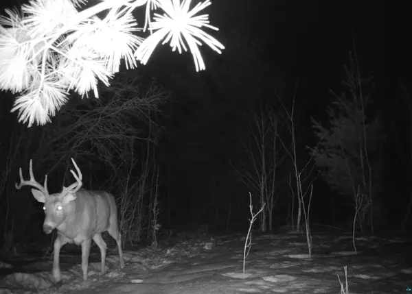 91XXX-S W Old County Hwy K, Bayfield, WI 54814