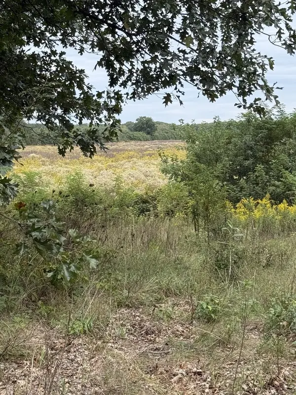 3307 S Wheeler RD, Pembroke Twp, IL 60958