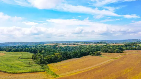 TBD Dump Hill, Rushford, MN 55971