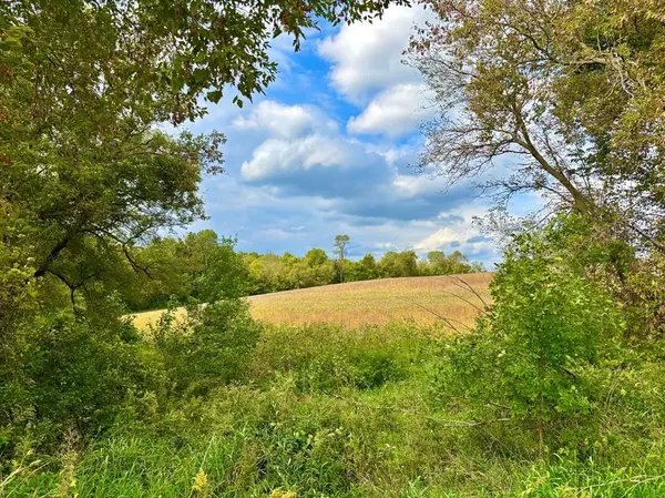 TBD Dump Hill, Rushford, MN 55971