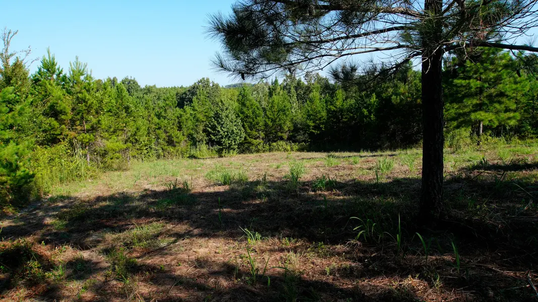 1 Ables Road, Cherokee, AL 35616