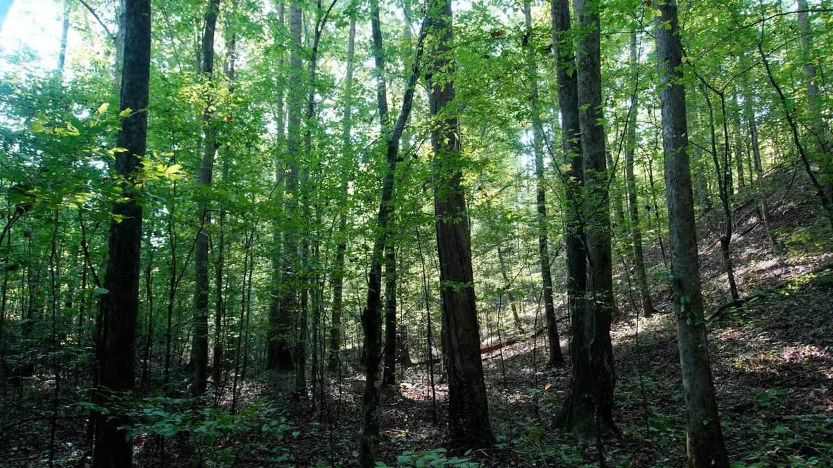 2 Ables Road, Cherokee, AL 35616