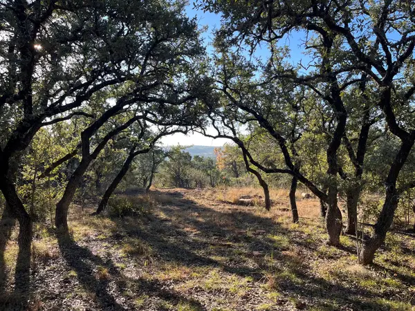 TBD Lost Oak TRL, Johnson City, TX 78636