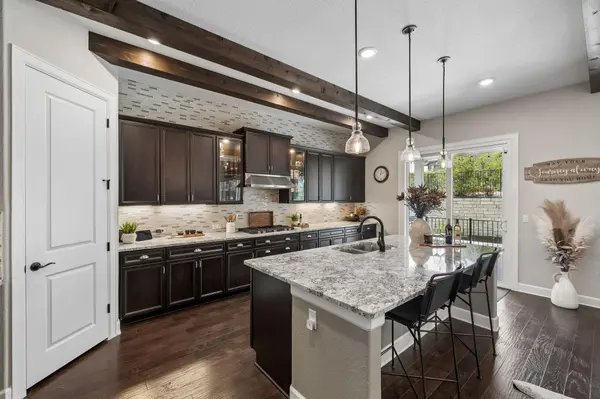 117 Dashing Sycamore ST, San Marcos, TX 78666