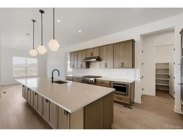 428 Agoseris, Castle Rock, CO 80104