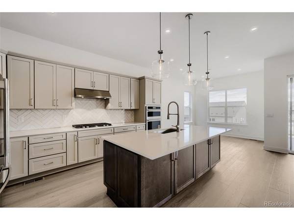 474 Basin Daisy, Castle Rock, CO 80104