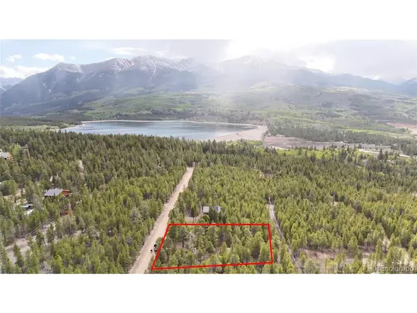 833 Peak View, Twin Lakes, CO 80461
