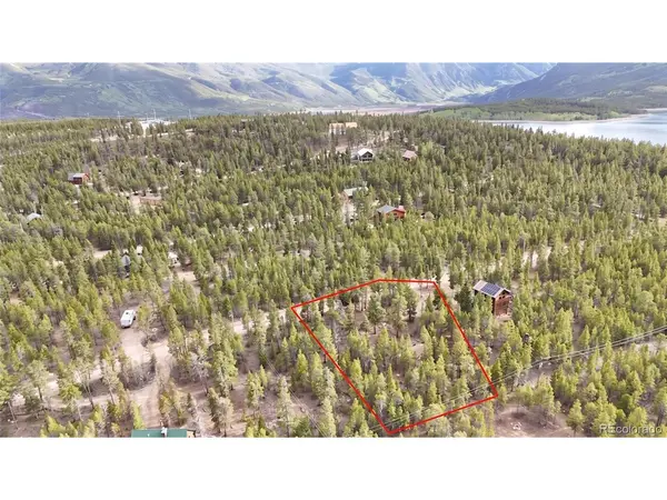 833 Peak View, Twin Lakes, CO 80461