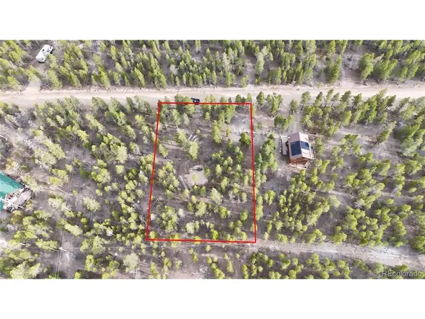 833 Peak View, Twin Lakes, CO 80461