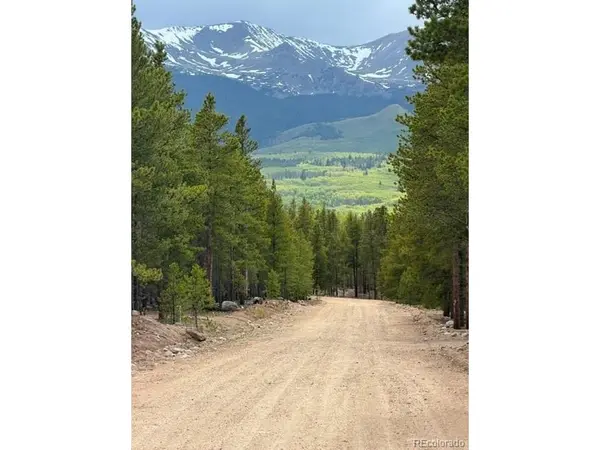 833 Peak View, Twin Lakes, CO 80461