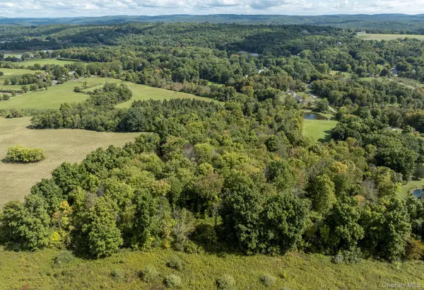 Talleur LN, Clinton Corners, NY 12514